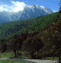 Azuga