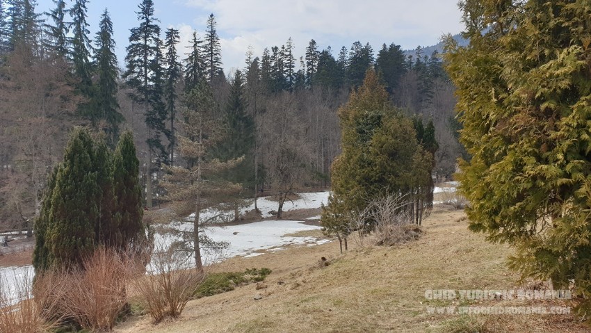 Castel Peles - Sinaia