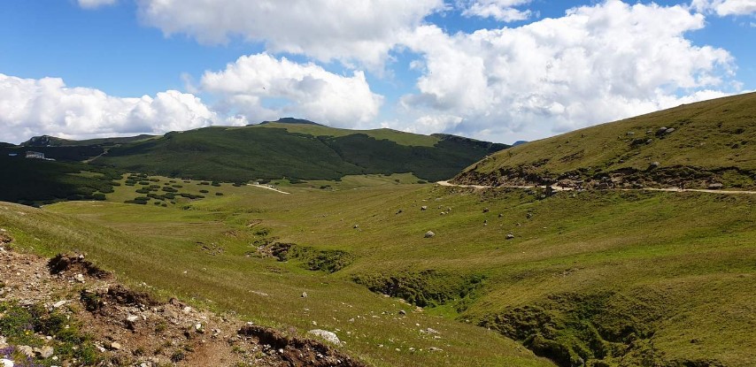 Trasee tematice Parcul Natural Bucegi