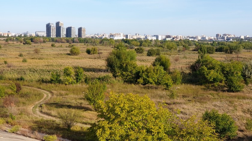 Parcul Natural Vacaresti