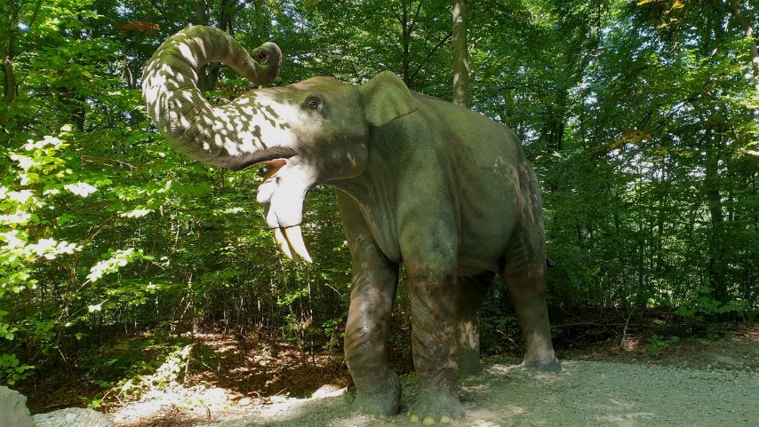 Dino Parc Râșnov