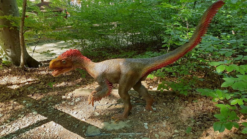 Dino Parc Râșnov