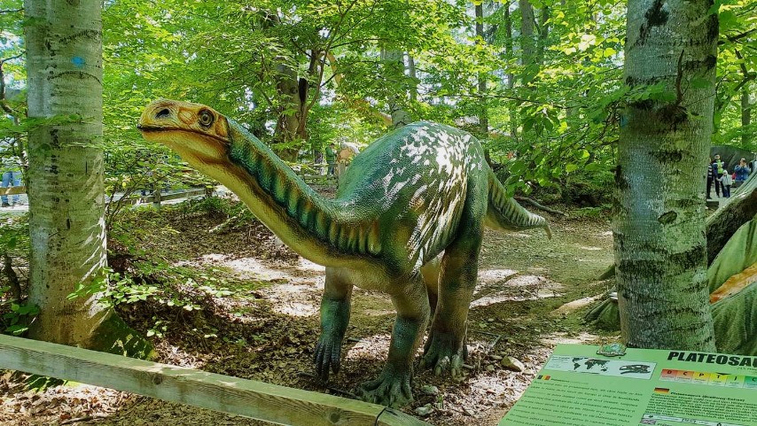 Dino Parc Râșnov