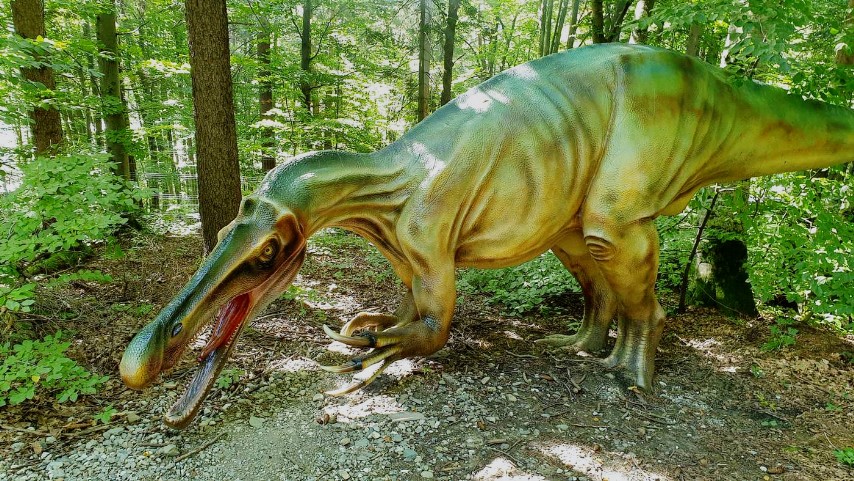 Dino Parc Râșnov