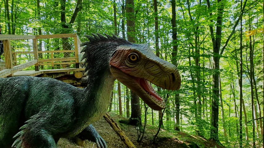 Dino Parc Râșnov