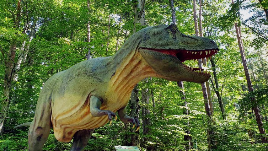 Dino Parc Râșnov