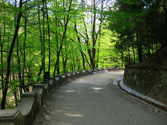 Baile Olanesti Baile Olanesti