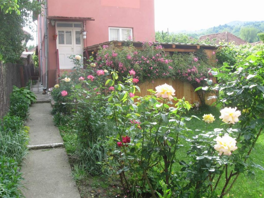 Casa Fabrizio - Calimanesti Casa Fabrizio - Calimanesti