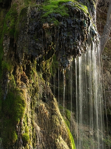 Cascada Igrita Cascada Igrita