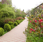 Alee Gradina Botanica Cluj-Napoca