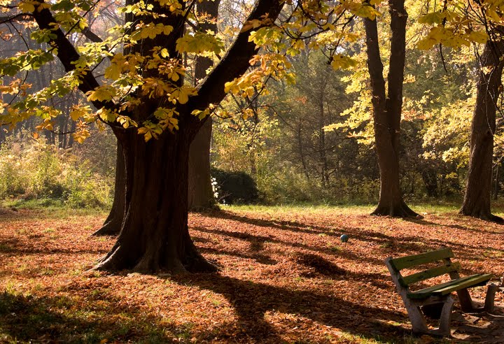 Gradina Botanica Bucuresti