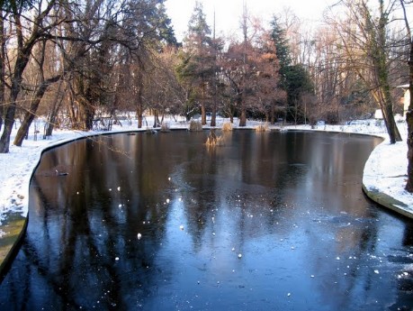 Gradina Botanica iarna