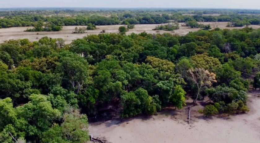 Padurea Letea Delta Dunarii