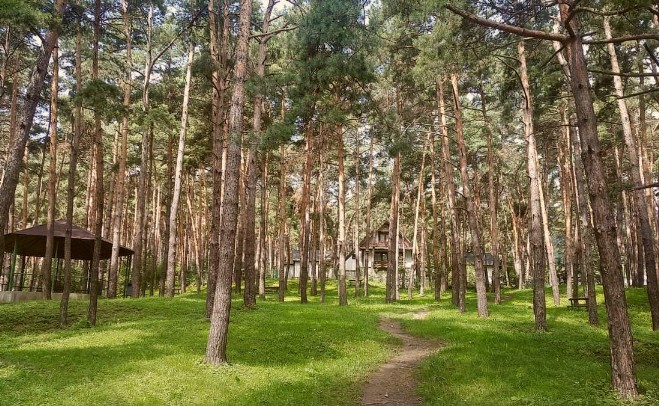 Parcul Băi
