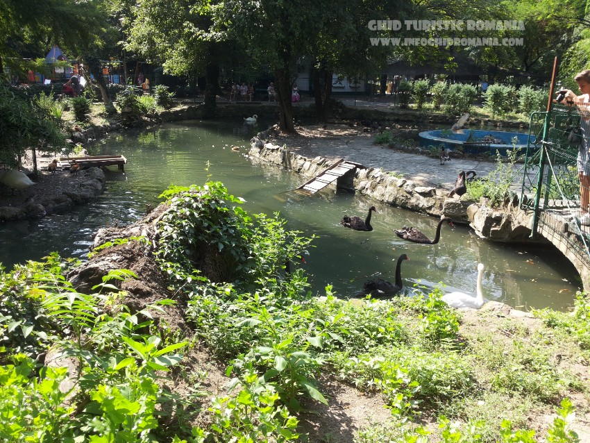 Parcul Cismigiu Bucuresti