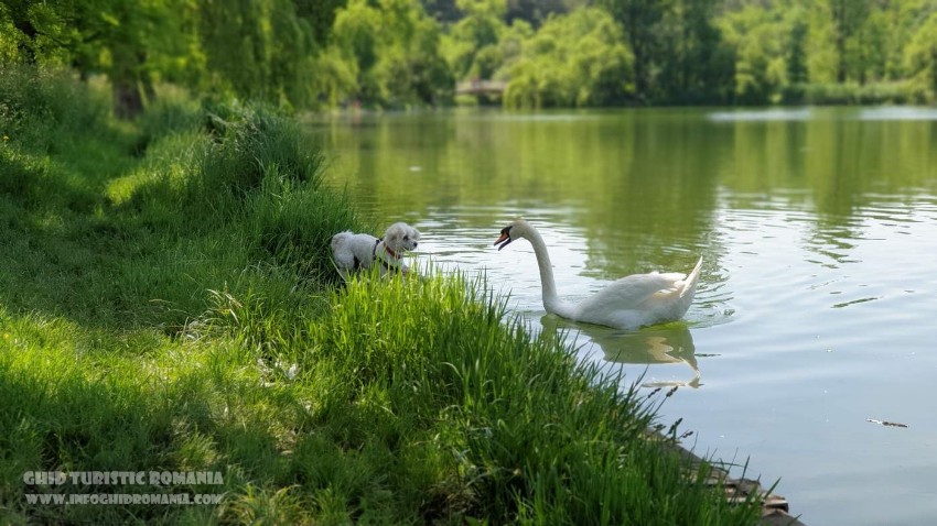 Parcul Tineretului Bucuresti