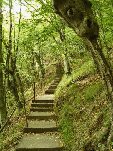 Urcare catre Cetatea Poenari