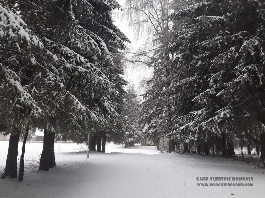 Foto Poiana Brasov