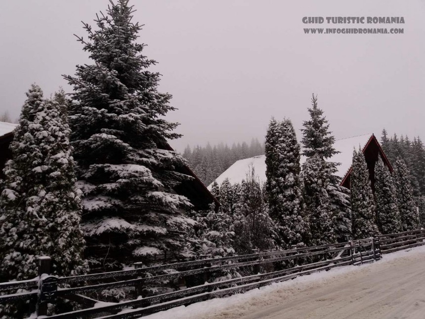 Foto Poiana Brasov