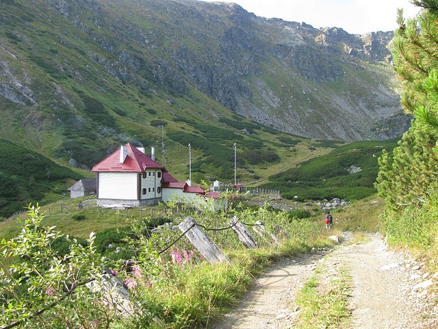 Borsa Maramures